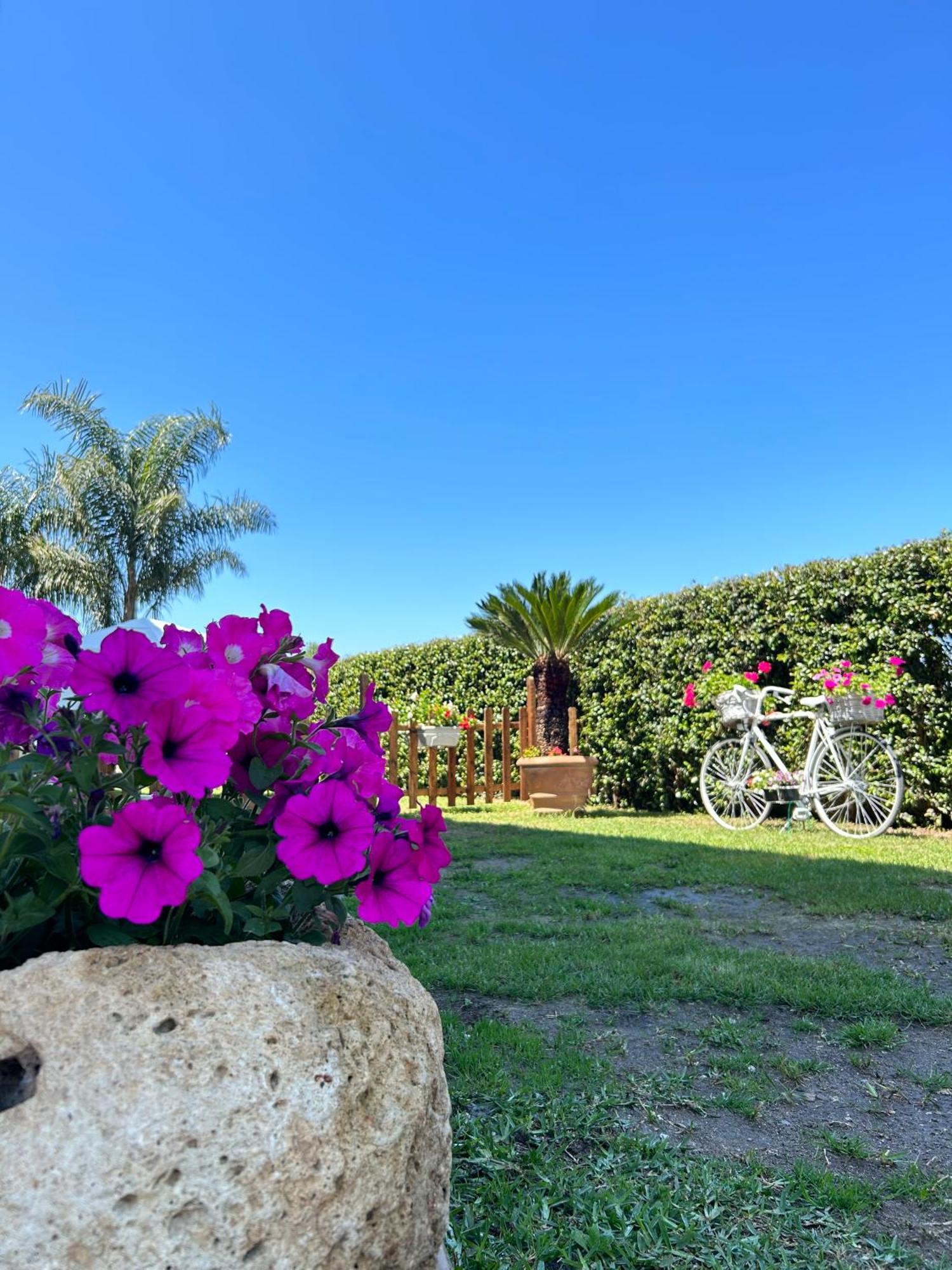 Alto Giardino Apartment Zambrone Exterior photo