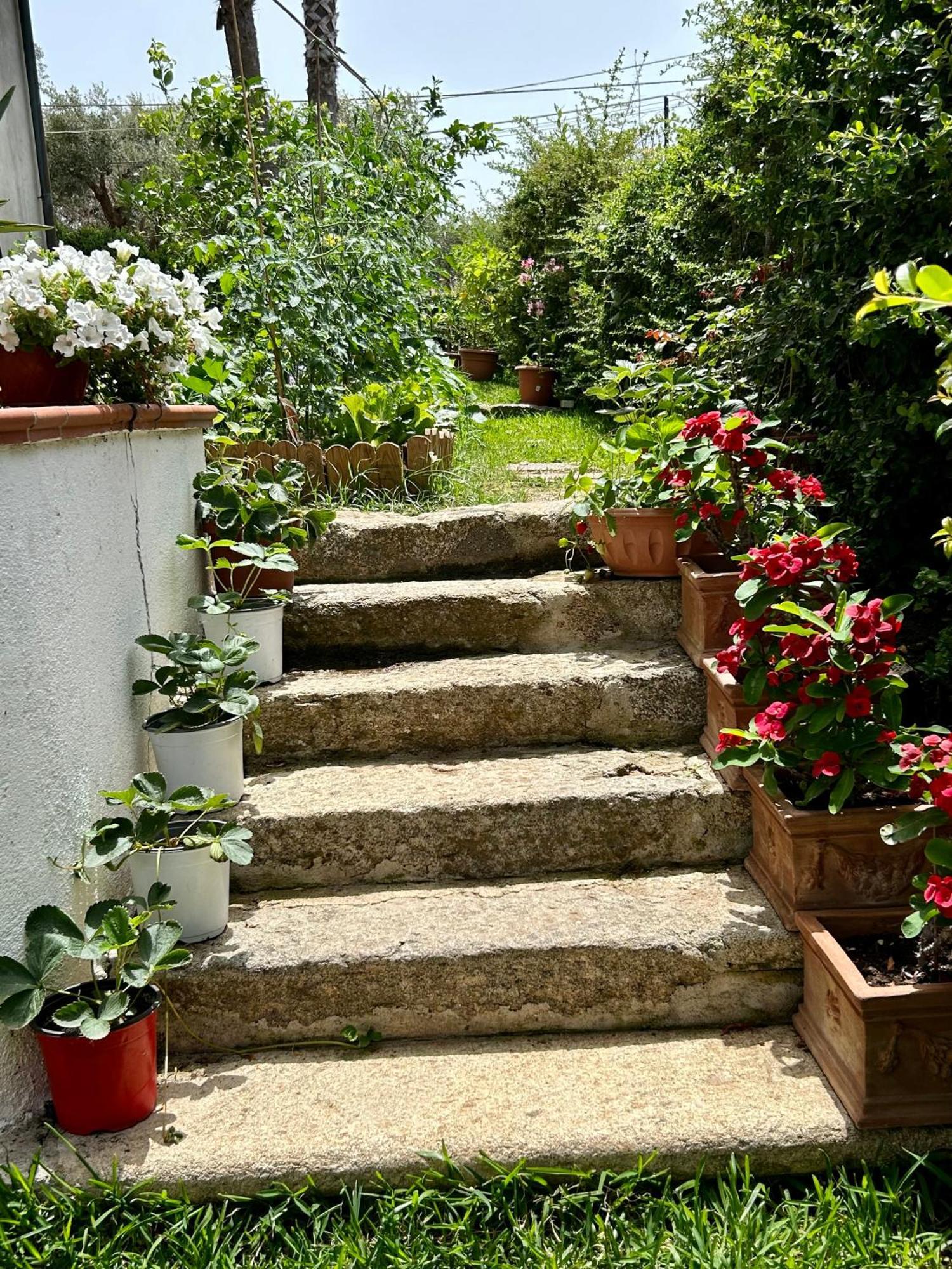 Alto Giardino Apartment Zambrone Exterior photo